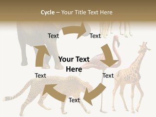 A Group Of Different Animals Standing Next To Each Other PowerPoint Template