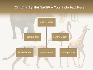 A Group Of Different Animals Standing Next To Each Other PowerPoint Template