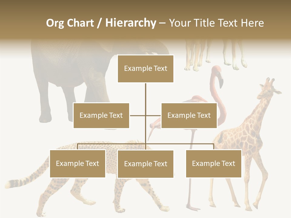 A Group Of Different Animals Standing Next To Each Other PowerPoint Template