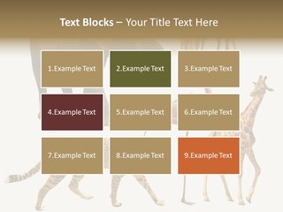A Group Of Different Animals Standing Next To Each Other PowerPoint Template