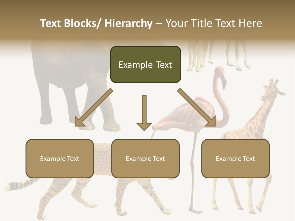 A Group Of Different Animals Standing Next To Each Other PowerPoint Template