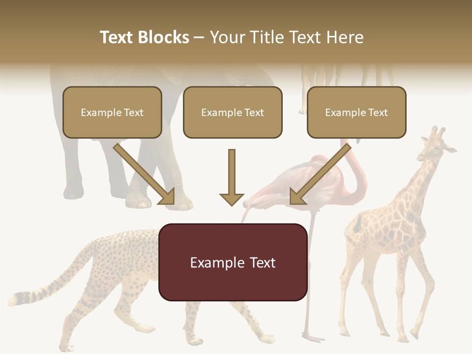 A Group Of Different Animals Standing Next To Each Other PowerPoint Template