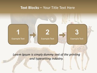 A Group Of Different Animals Standing Next To Each Other PowerPoint Template