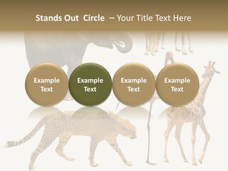 A Group Of Different Animals Standing Next To Each Other PowerPoint Template
