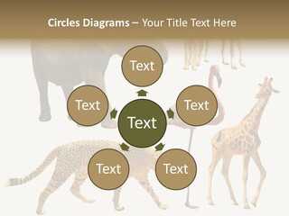 A Group Of Different Animals Standing Next To Each Other PowerPoint Template