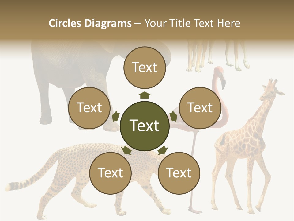 A Group Of Different Animals Standing Next To Each Other PowerPoint Template