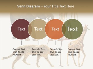 A Group Of Different Animals Standing Next To Each Other PowerPoint Template