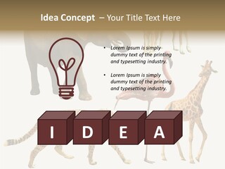A Group Of Different Animals Standing Next To Each Other PowerPoint Template