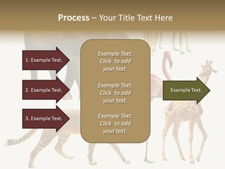A Group Of Different Animals Standing Next To Each Other PowerPoint Template