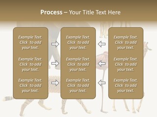 A Group Of Different Animals Standing Next To Each Other PowerPoint Template
