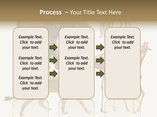 A Group Of Different Animals Standing Next To Each Other PowerPoint Template