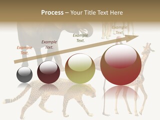 A Group Of Different Animals Standing Next To Each Other PowerPoint Template