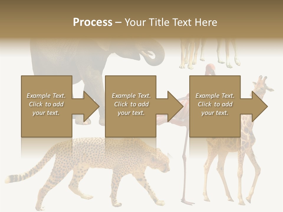 A Group Of Different Animals Standing Next To Each Other PowerPoint Template