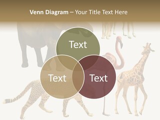 A Group Of Different Animals Standing Next To Each Other PowerPoint Template