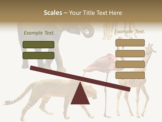 A Group Of Different Animals Standing Next To Each Other PowerPoint Template