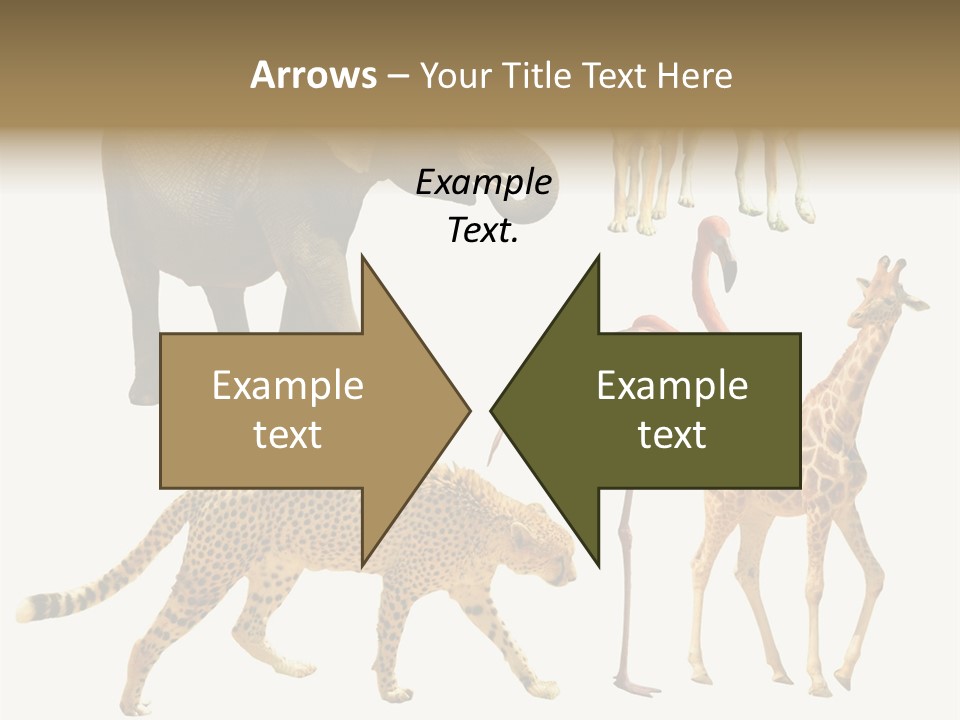 A Group Of Different Animals Standing Next To Each Other PowerPoint Template