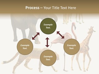 A Group Of Different Animals Standing Next To Each Other PowerPoint Template