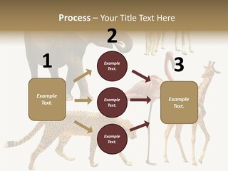 A Group Of Different Animals Standing Next To Each Other PowerPoint Template