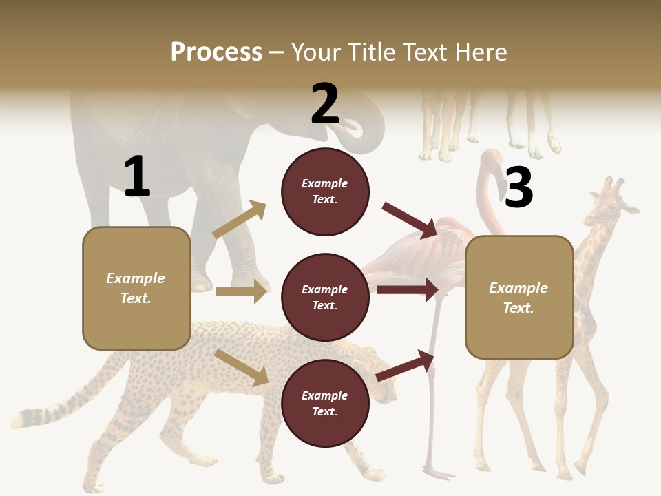 A Group Of Different Animals Standing Next To Each Other PowerPoint Template