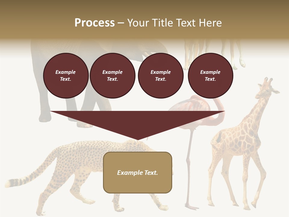 A Group Of Different Animals Standing Next To Each Other PowerPoint Template