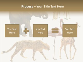A Group Of Different Animals Standing Next To Each Other PowerPoint Template