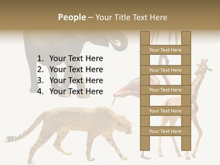A Group Of Different Animals Standing Next To Each Other PowerPoint Template