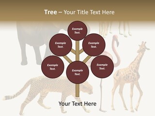 A Group Of Different Animals Standing Next To Each Other PowerPoint Template