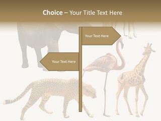 A Group Of Different Animals Standing Next To Each Other PowerPoint Template