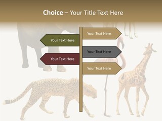 A Group Of Different Animals Standing Next To Each Other PowerPoint Template