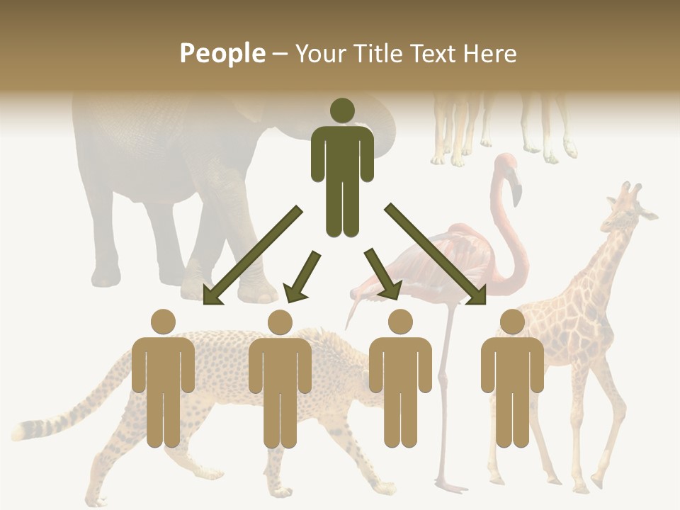 A Group Of Different Animals Standing Next To Each Other PowerPoint Template