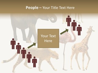 A Group Of Different Animals Standing Next To Each Other PowerPoint Template