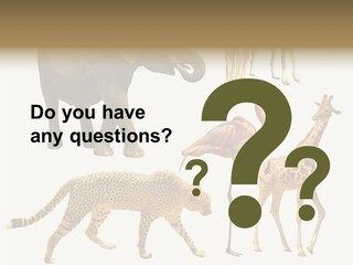 A Group Of Different Animals Standing Next To Each Other PowerPoint Template