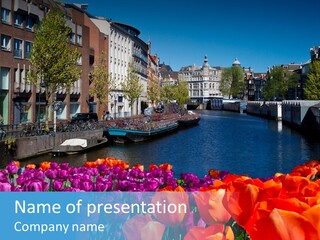 Capital Amsterdam Architecture PowerPoint Template