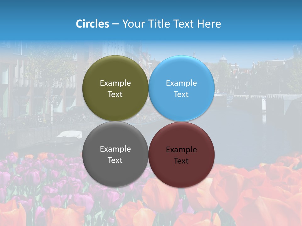 Capital Amsterdam Architecture PowerPoint Template