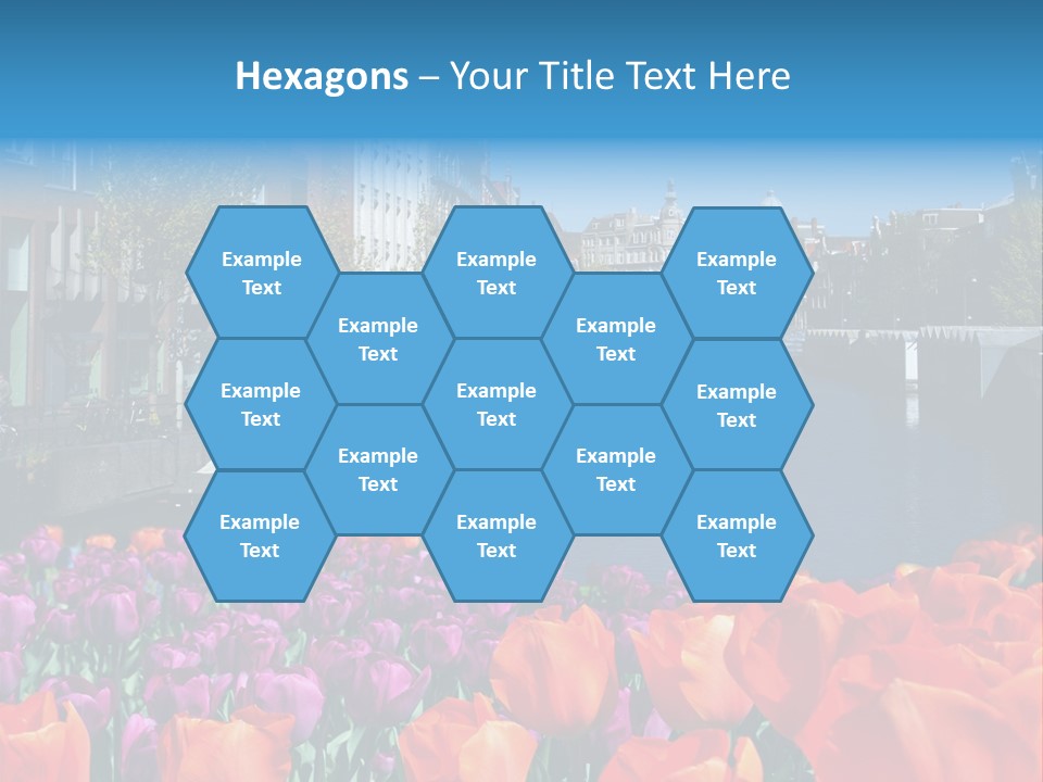 Capital Amsterdam Architecture PowerPoint Template