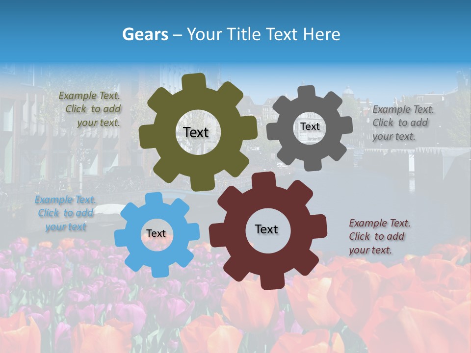 Capital Amsterdam Architecture PowerPoint Template