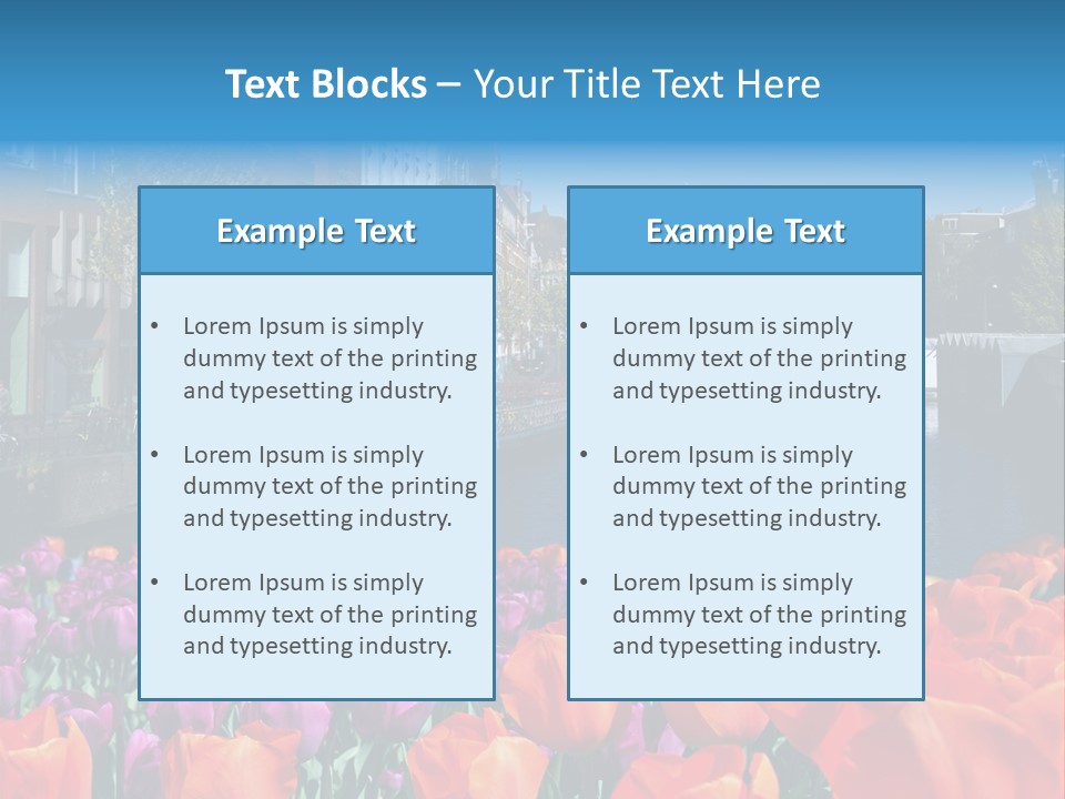 Capital Amsterdam Architecture PowerPoint Template