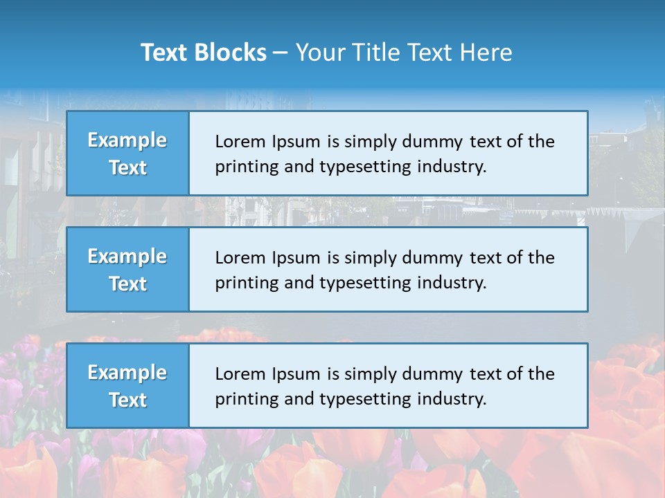 Capital Amsterdam Architecture PowerPoint Template