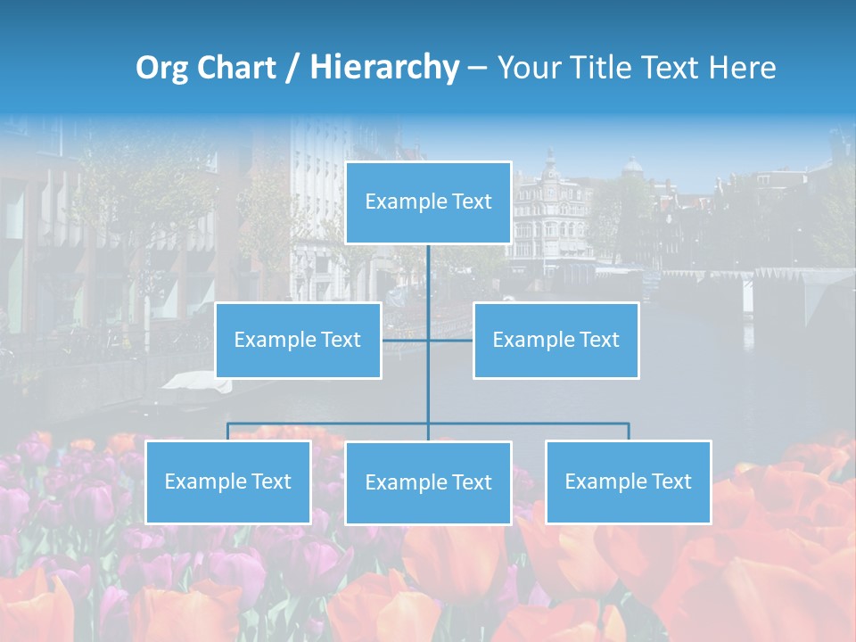 Capital Amsterdam Architecture PowerPoint Template