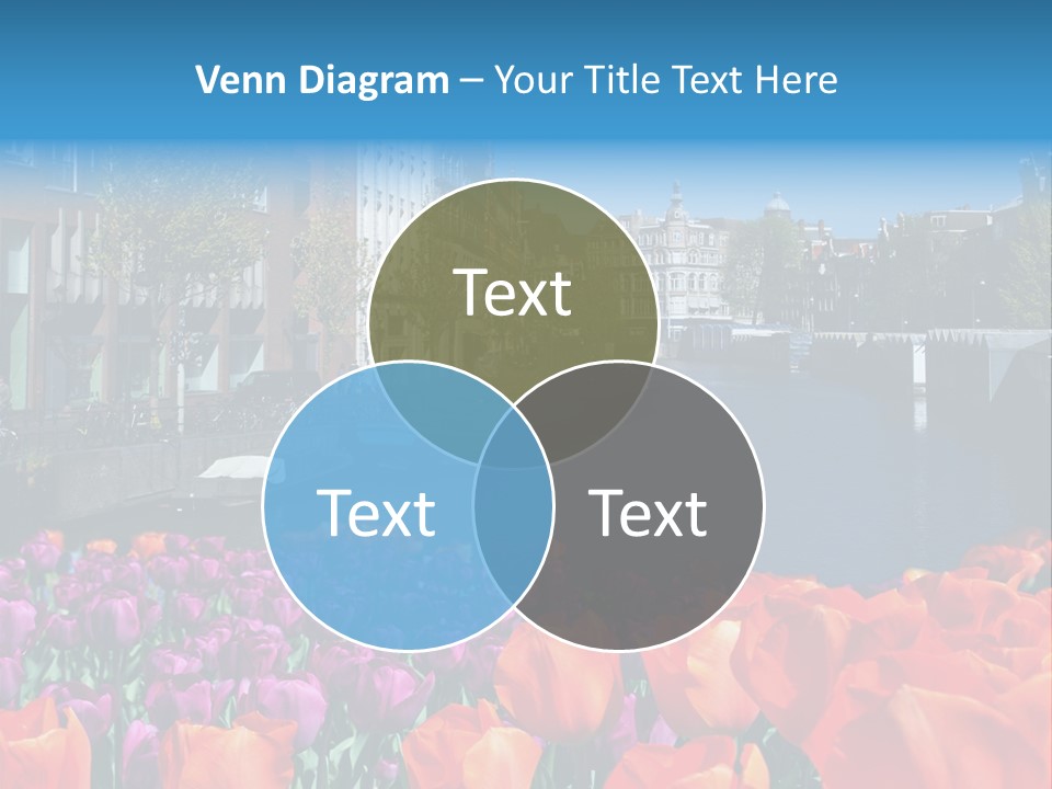 Capital Amsterdam Architecture PowerPoint Template