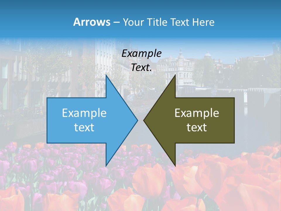 Capital Amsterdam Architecture PowerPoint Template