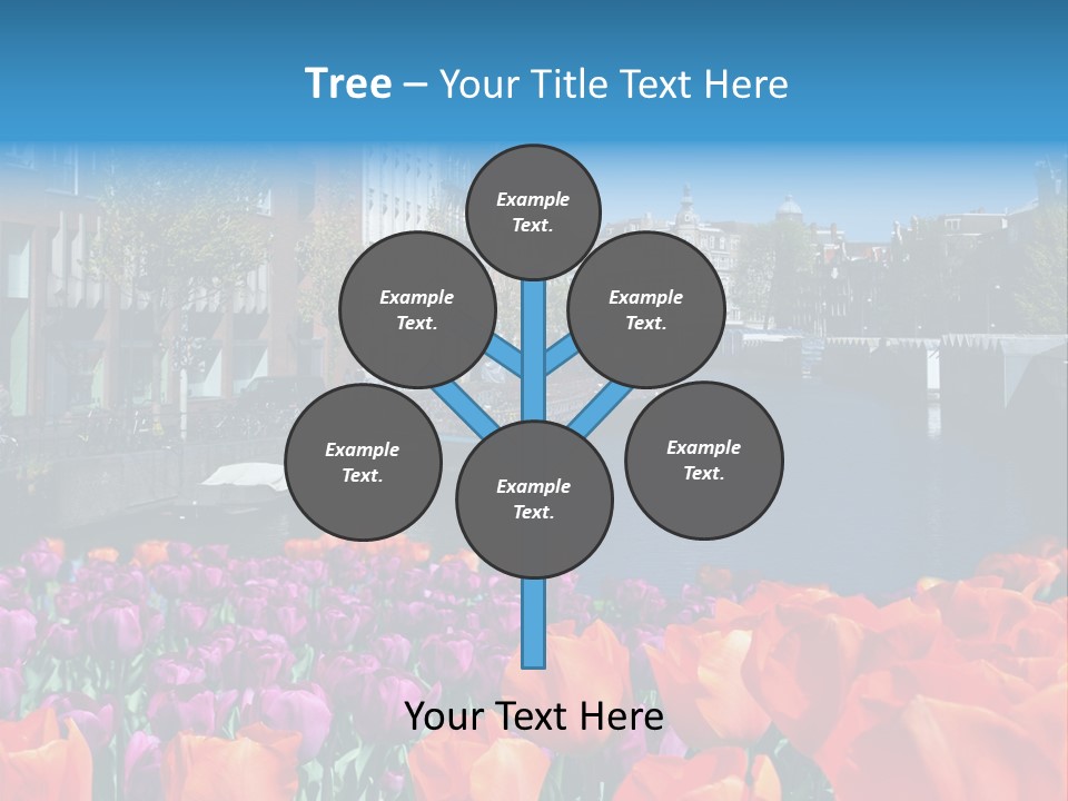 Capital Amsterdam Architecture PowerPoint Template