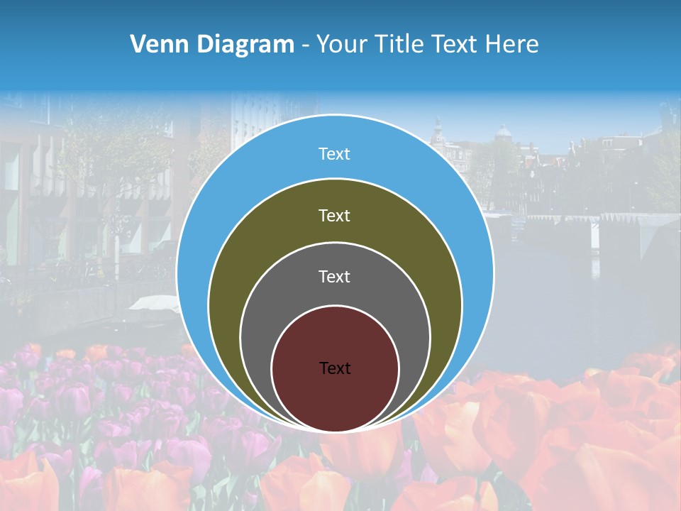 Capital Amsterdam Architecture PowerPoint Template