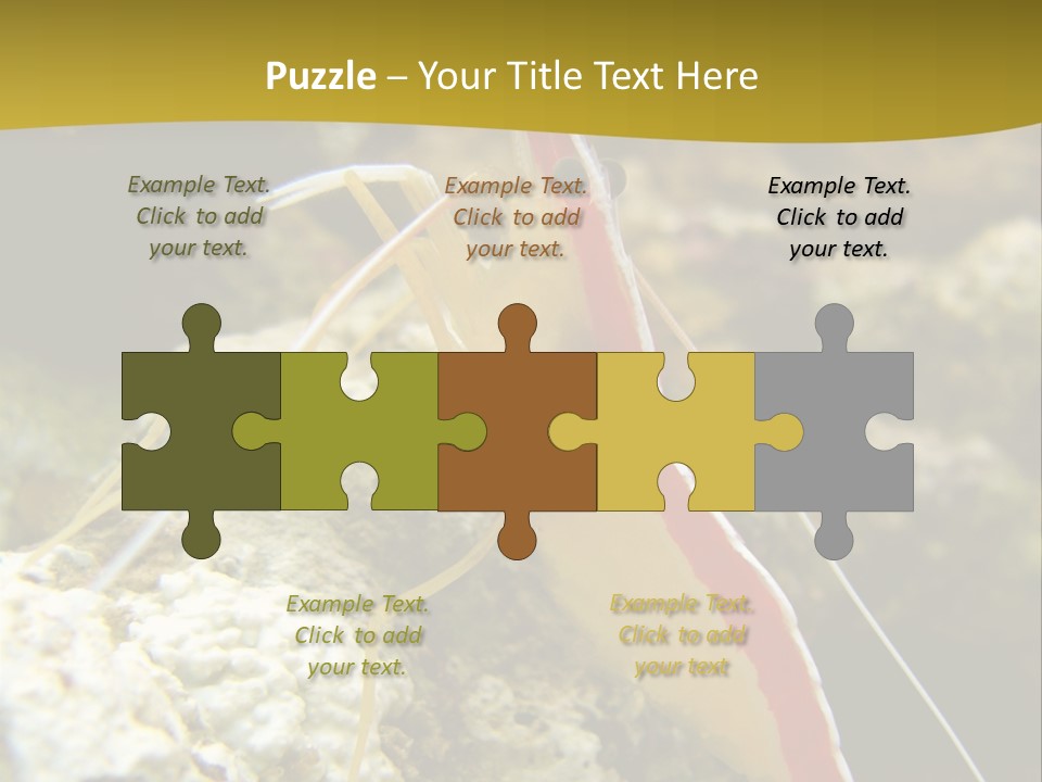 Shrimp Saltwater Feeler PowerPoint Template