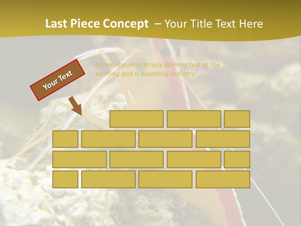 Shrimp Saltwater Feeler PowerPoint Template