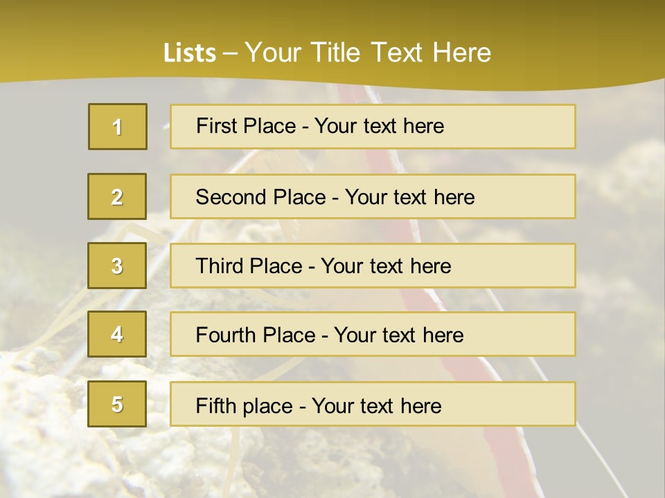 Shrimp Saltwater Feeler PowerPoint Template