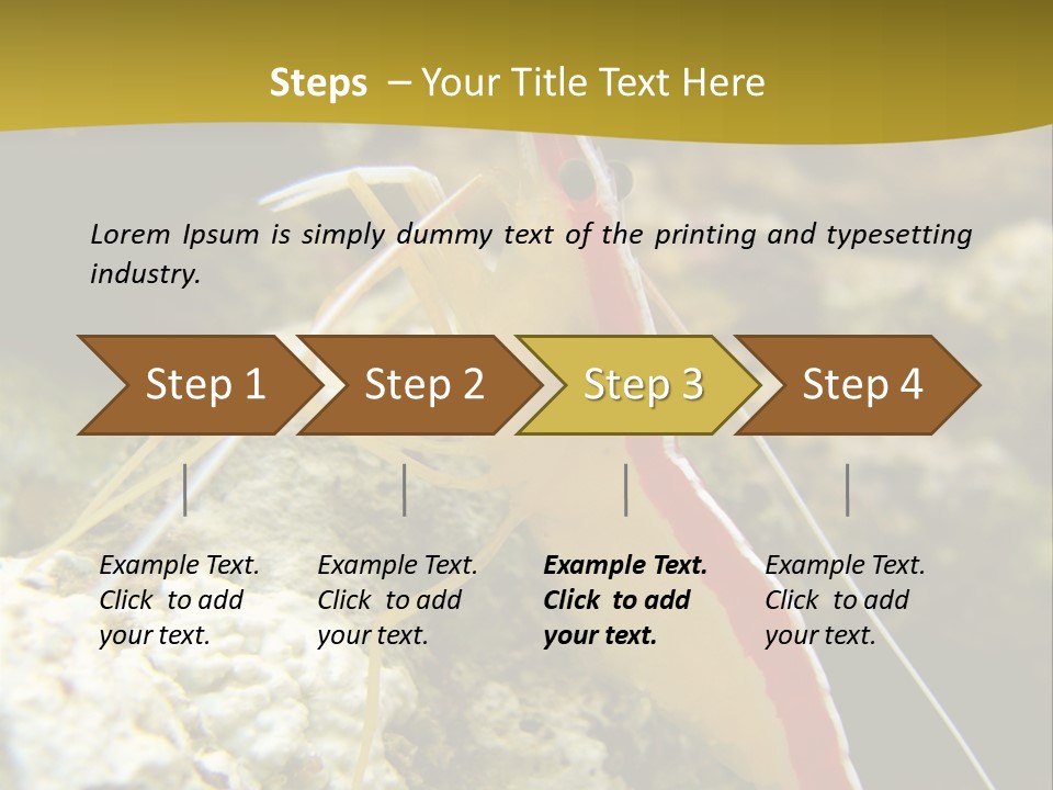 Shrimp Saltwater Feeler PowerPoint Template