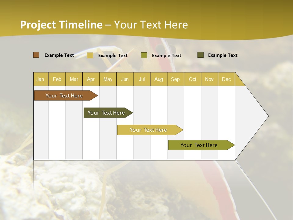 Shrimp Saltwater Feeler PowerPoint Template