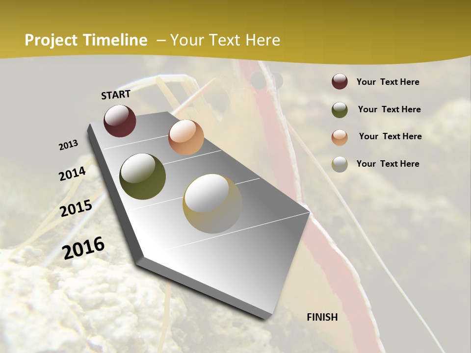 Shrimp Saltwater Feeler PowerPoint Template