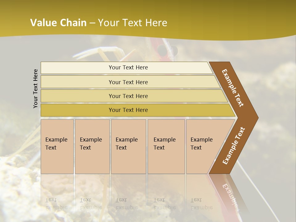 Shrimp Saltwater Feeler PowerPoint Template